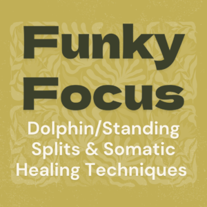 Funky Buddha Yoga Focus on Dolphin Pose, Standing Splits, and Somatic Meditations